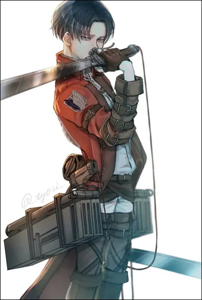 Et voilà Livai !
Est-ce un fanart ?