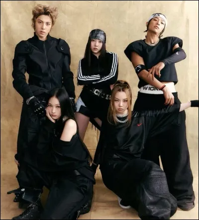 Qui est la/le maknae de ce groupe ?