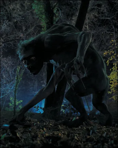 Quel est le nom du monstre qui attaque dans la forêt ?