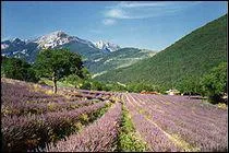 En 2007, combien d'habitants comptait la Drme ?