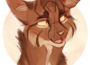 Test Ta vie de guerrier/guerrière - Partie 2 - La fratrie