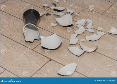 Tu rentres chez toi apr&egrave;s cette belle journ&eacute;e, et BIM : tu te prends les pieds dans le tapis et tu casses le vase en porcelaine de ton arri&egrave;re-arri&egrave;re-arri&egrave;re grand-m&egrave;re. Que fais-tu ?