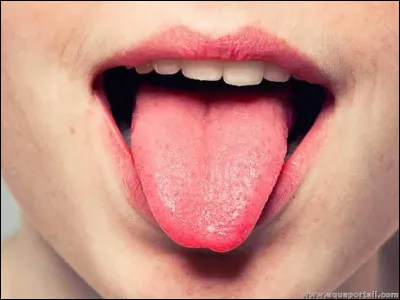 Combien de muscles composent la langue ?