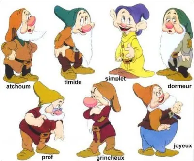 Qui est le leader des Sept Nains ?