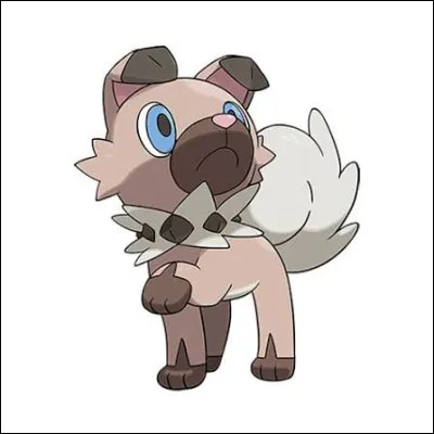 Quel est le nom de ce Pok&eacute;mon ?