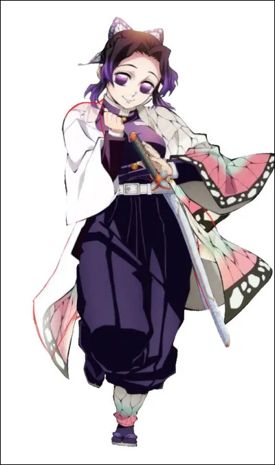 Tu préfères Shinobu...