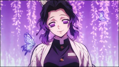 Aimes-tu ''Demon Slayer'' ?