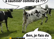 Quiz La vache