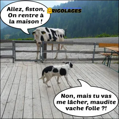 Laquelle de ces races est inventée ?