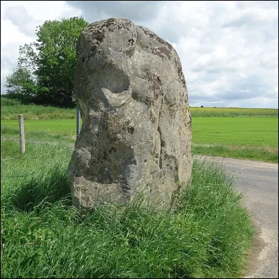 Dans le parc régional de Normandie-Maine, il y a des menhirs distribués sur au moins 29 sites.