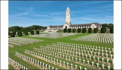 Dimension humaine et sociale : qu'est-ce qui est vrai ?