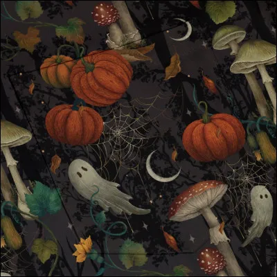 Choisis ton fond décran aesthetic.