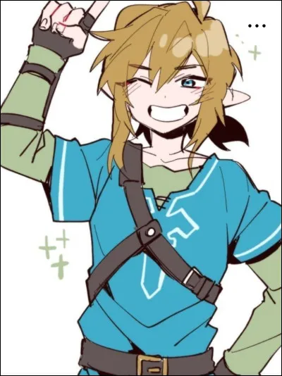 Bonjour ! Voici Link. Qui doit-il sauver ?