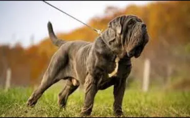 Quiz Culture g�n�rale