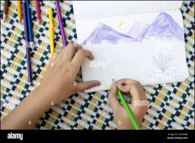 Est-ce que tu dessines ? Si oui, quel type de dessin ?