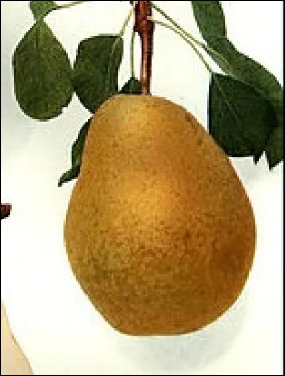 Complétez le titre du film de Robert de Nesle, de 1954 : "Après vous, ..."