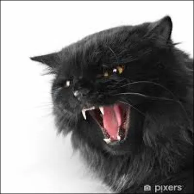 Compl&eacute;tez l'expression suivante : "Rentrer dans une col&egrave;re ..." :