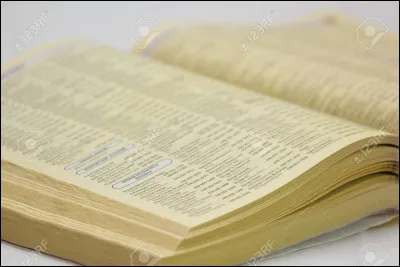 Il existe encore les pages de l'annuaire téléphonique appelé "Pages ...".