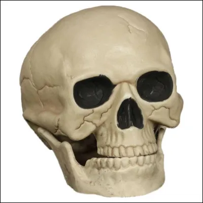 Choisis une façon de mourir :