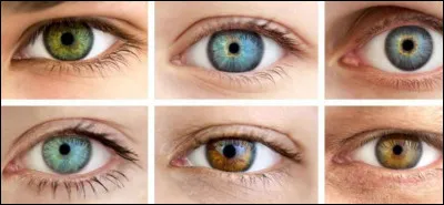 Quelle est la couleur naturelle de tes yeux ?