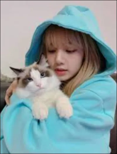 Combien de coréenne(s) y a-t-il dans le groupe ?