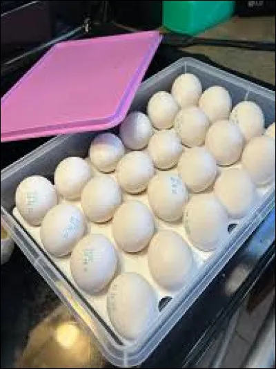 Combien d'enfants a eu Louis XIV ?