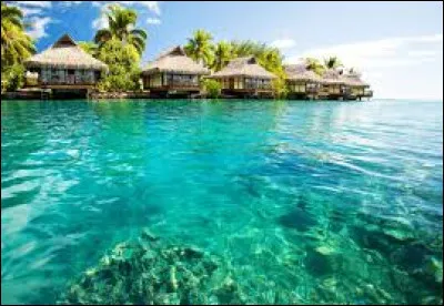 Dans quel océan se situent les îles Maldives ?