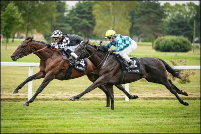 Pourrais-tu courir vite et longtemps ?