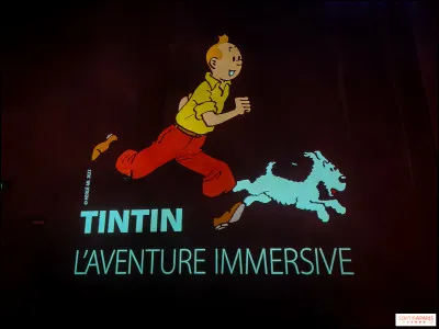 Bien le bonjour très chers amis ! Nous allons commencer ce quiz en suivant le plus célèbre des reporters dans ses ______ ! Voici Tintin !