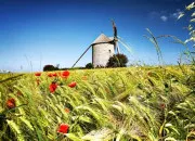 Test Devrais-tu plutt vivre en ville ou  la campagne ?