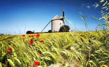 Quiz Test de personnalit