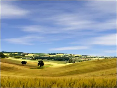 Prêtes-tu attention à l'écologie et à la nature qui t'entoure ?