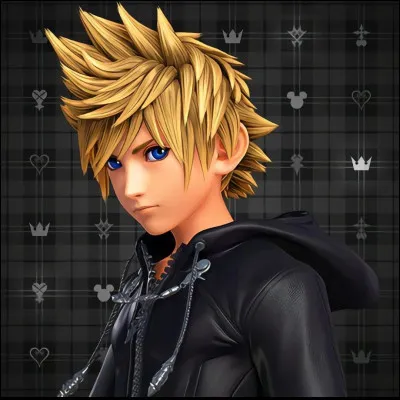 Pour commencer, Roxas est le Simili de qui ?