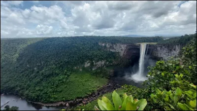Quel pays d'Amérique du Sud est le seul à avoir l'anglais comme langue officielle ?