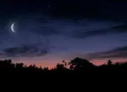 Quiz Culture g�n�rale - Vrai ou faux ? (111)