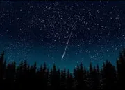 Quiz Culture g�n�rale - Vrai ou faux ? (112)