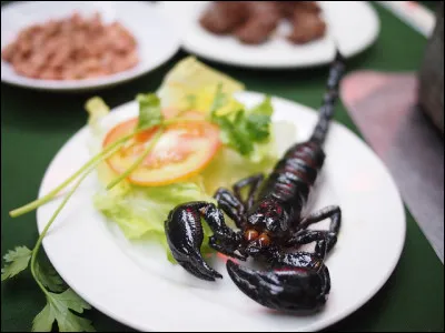 Et si l'on partait dans un pays où les low-kicks peuvent faire très mal aux cuisses et où les scorpions peuvent finir en brochette !