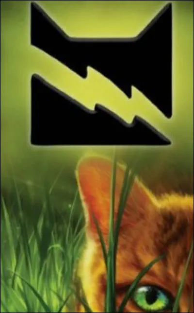 Rêves-tu d'une famille ?