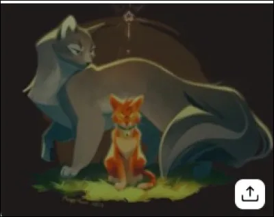 Ton nom de chaton est...