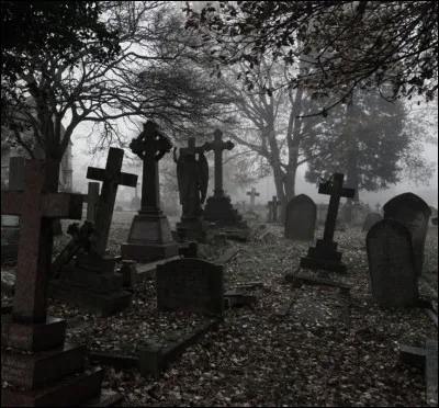 Je suis mort au cimetière et je m'y promène. Je suis..