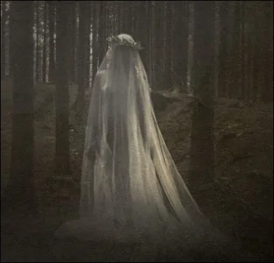 Je peux &eacute;mettre des sons. Je suis..