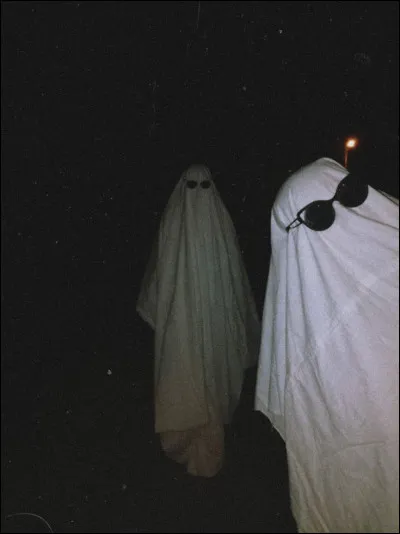 La kin&eacute;mortophobie est la phobie du..