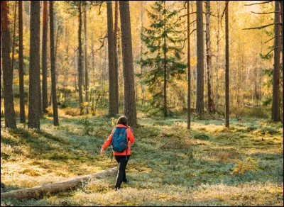 Comment larbitre indique-t-il une violation de type : marcher ?