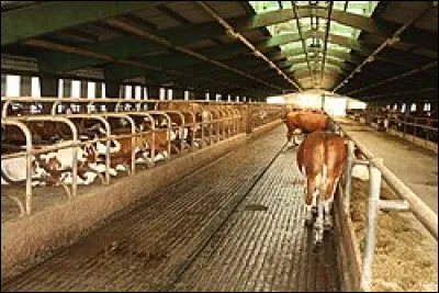 Où va Canche à la mer.