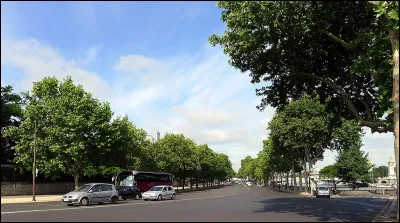 Pour voir une nuit étoilée.