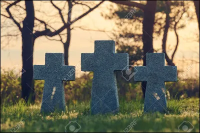 Quel poème évoque un soldat mort dans la nature ?