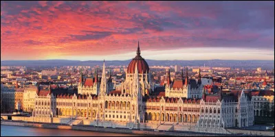 T&eacute;tragone !Est-ce un l&eacute;gume r&eacute;el ou un Pok&eacute;mon ?