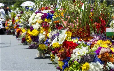 Cabriolaine !Est-ce un l&eacute;gume r&eacute;el ou un Pok&eacute;mon ?