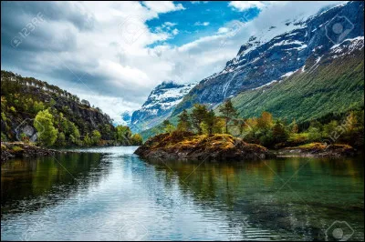 Mizuna !Est-ce un l&eacute;gume r&eacute;el ou un Pok&eacute;mon ?