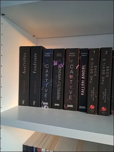 Que préfères-tu parmi ces choix ? (2)